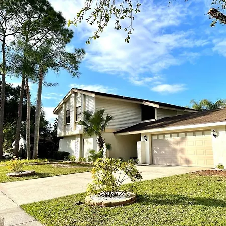 Luxury Home Pool- Ideal Paradise To Play & Work Tampa Exterior photo